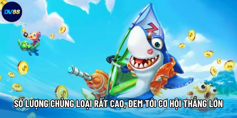 Số lượng chủng loại rất cao, đem tới cơ hội thắng lớn