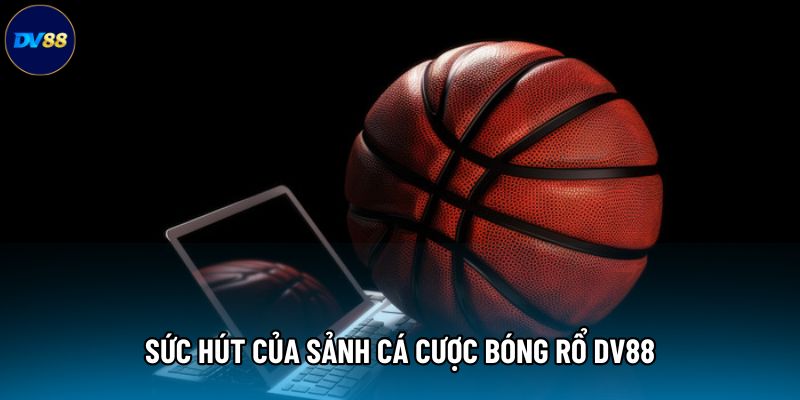 Sức hút của sảnh cá cược bóng rổ DV88 Sức hút của sảnh cá cược bóng rổ DV88