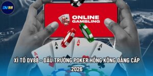Xì Tố DV88 - Đấu Trường Poker Hồng Kông Đẳng Cấp 2026